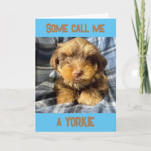 COMEDIC YORSHIRE TERRIER SAYS HAPPY BIRTHDAY CARD
