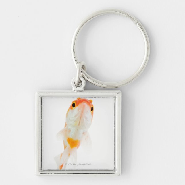 Comet / Comet-tailed goldfish Keychain (Front)