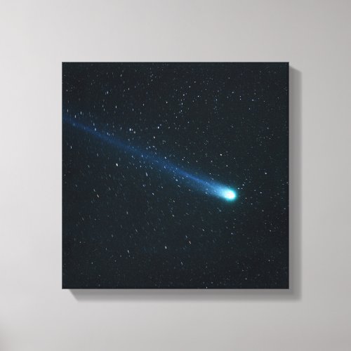 Comet in Night Sky Canvas Print