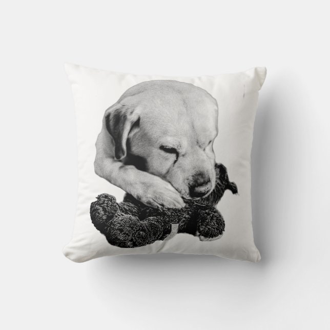 Comfort Keeper Throw Pillow (Front)