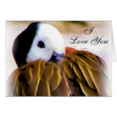 Comfort of love_ (Front Horizontal)