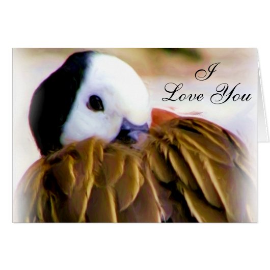 Comfort of love_ cards (Front Horizontal)