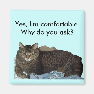 Comfortable on Laundry cat magnet