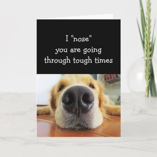 Comforting for Tough Times Cute Fun Dog Card