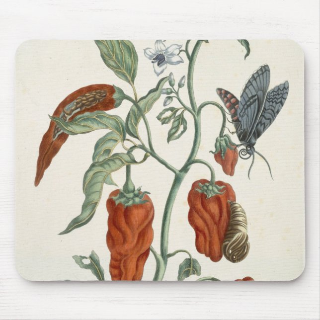 Comfrey, from 'A Curious Herbal', 1782 (colour eng Mouse Pad (Front)