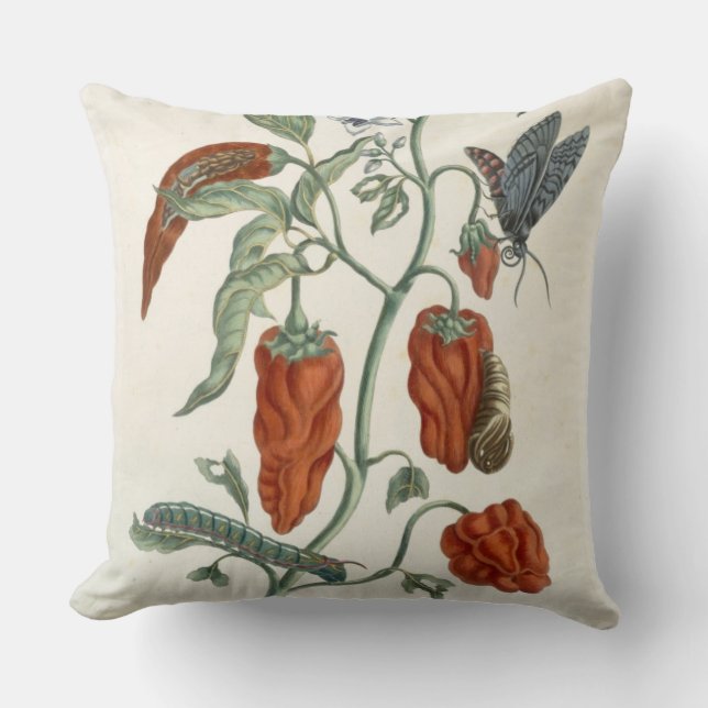Comfrey, from 'A Curious Herbal', 1782 (colour eng Throw Pillow (Front)
