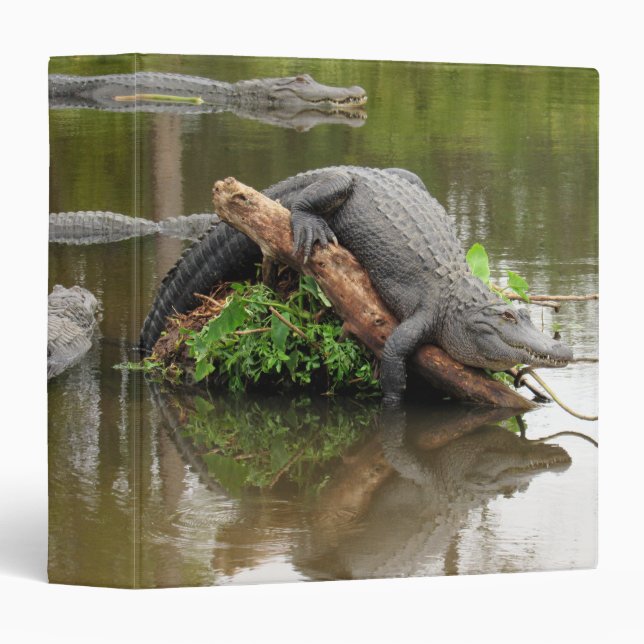 Comfy Alligator Binder (Front/Spine)