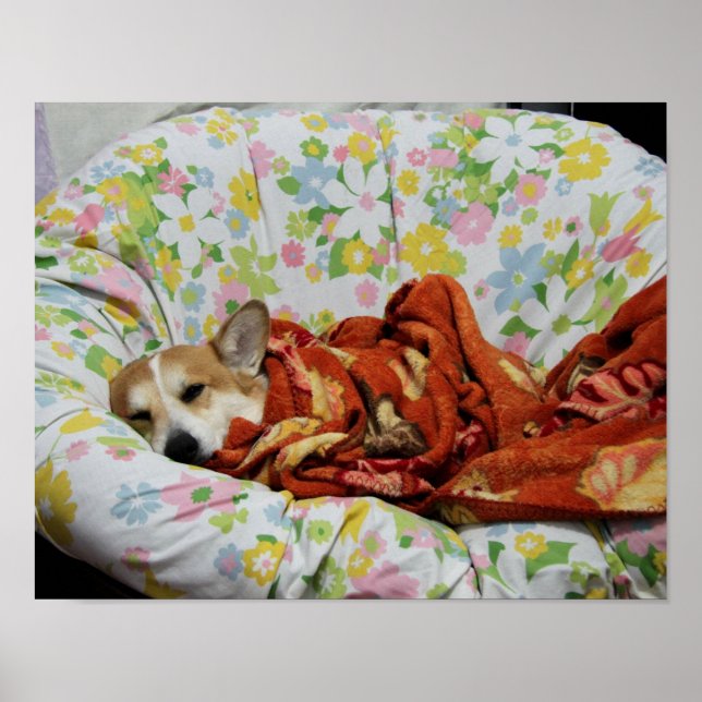 Comfy Corgi Poster (Front)