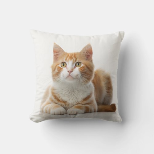 Comfy Coziness The Lazy Ginger Cat Pillow