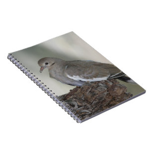 Comfy Dove Notebook