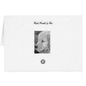 Comfy Golden Pup Cards (Back Horizontal)