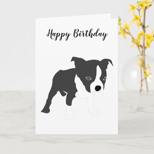 Comic Boston Terrier Boston Boy Birthday Card