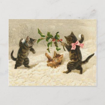 Comic Cats Cat Snowball Fight Vintage Christmas Holiday Postcard by vintagecreations at Zazzle
