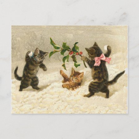 Comic Cats Cat Snowball Fight Vintage Christmas Holiday Postcard
