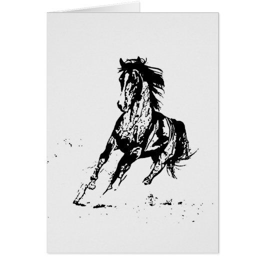 Comic Drawing Horse Cards (Front)
