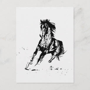 Comic Drawing Horse Postcard