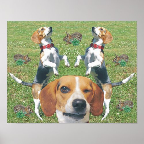 Comical Beagles with Rabbits Poster