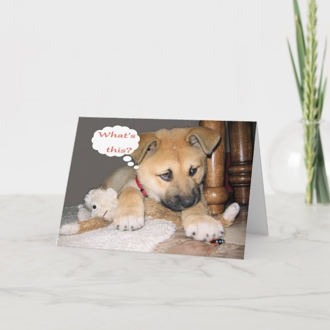 Comical Birthday Humor Card (Front)