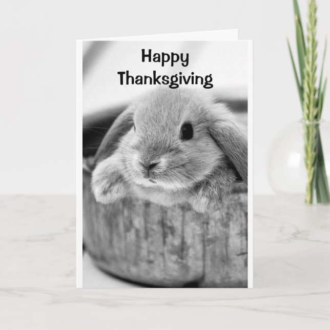 COMICAL BUNNY SAYS **HAPPY THANKSGIVING** HOLIDAY CARD (Front)