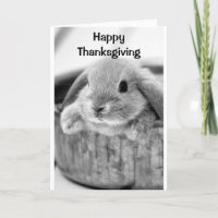 COMICAL BUNNY SAYS **HAPPY THANKSGIVING**