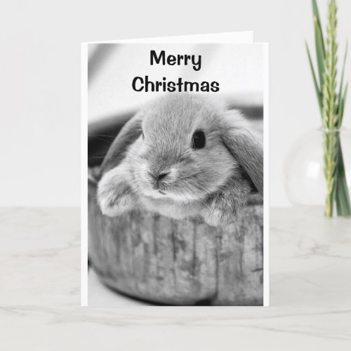COMICAL BUNNY SAYS MERRY CHRISTMAS HOLIDAY CARD