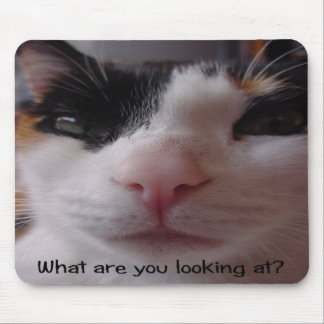Comical Calico Mousepad