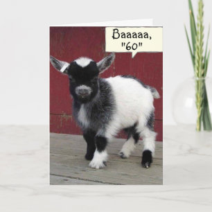 *COMICAL GOAT* YOU STILL LOOK "59" ON YOUR *60th* Card