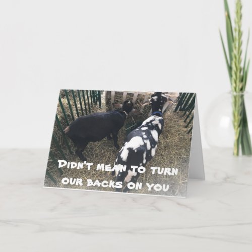 COMICAL GOATS BIRTHDAY WISH THEN DINNER TIME CARD