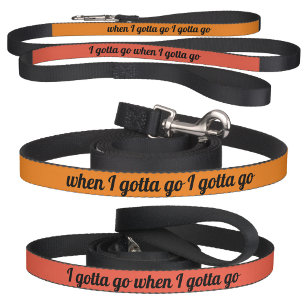 Comical Gotta Go on Demand Orange  Pet Leash