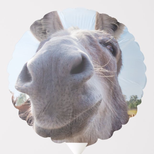 Comical Gray Smiling Donkey Balloon (Front)