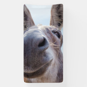 Comical Gray Smiling Donkey Banner