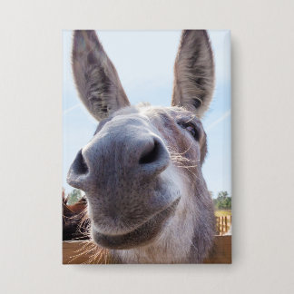 Comical Gray Smiling Donkey Button