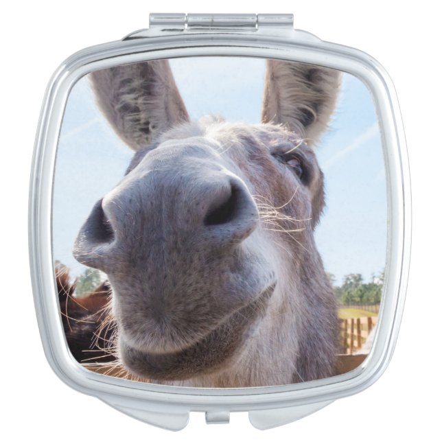Comical Gray Smiling Donkey Compact Mirror (Front)