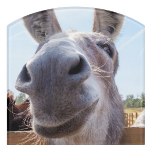Comical Gray Smiling Donkey Door Sign