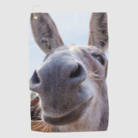 Comical Gray Smiling Donkey