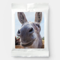 Comical Gray Smiling Donkey