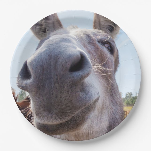 Comical Gray Smiling Donkey Paper Plates (Front)