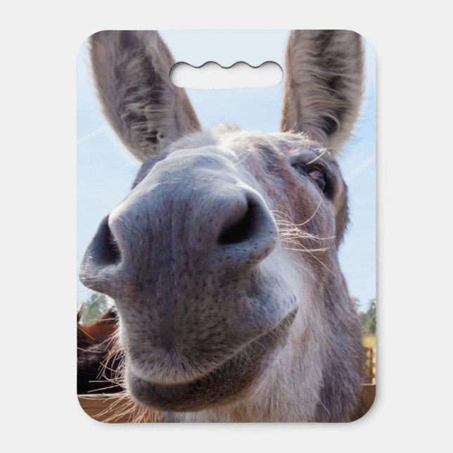 Comical Gray Smiling Donkey Seat Cushion (Front Vertical)