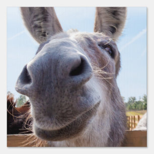 Comical Gray Smiling Donkey Sign