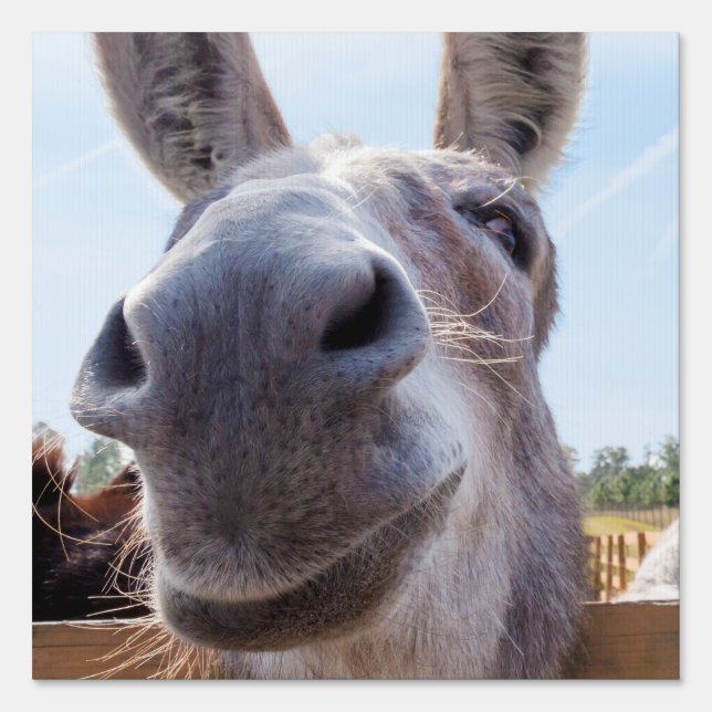 Comical Gray Smiling Donkey Sign (Front)