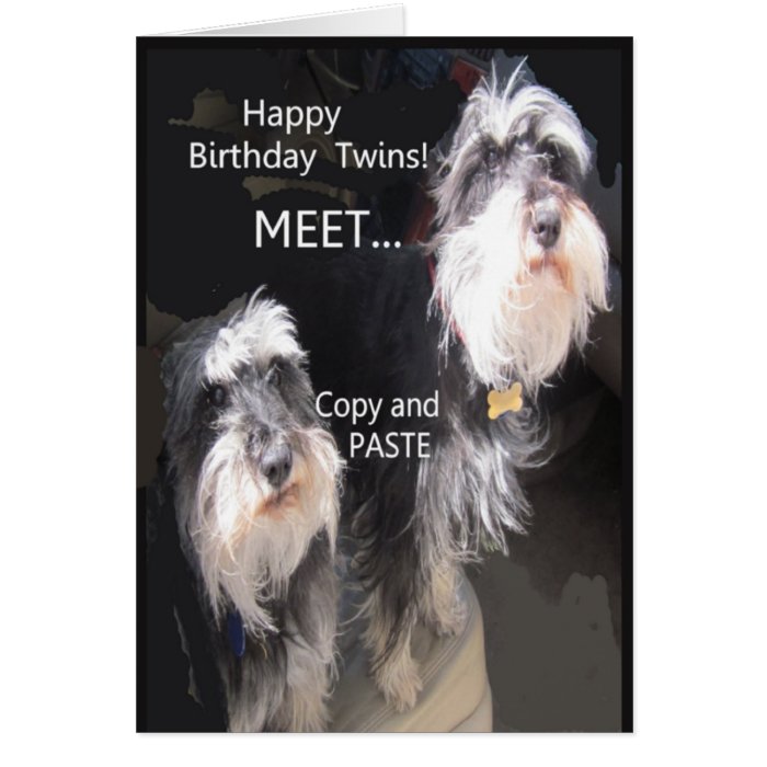 Comical Happy Birthday twins Greeting Card