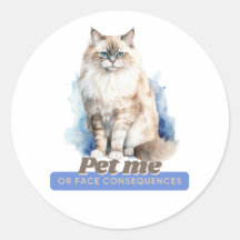 Comical Kitten Gifts for Cat Lovers