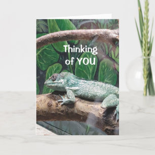 COMICAL LIZARD SAYS "HAPPY BIRTHDAY" CARD