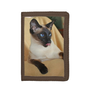 Comical Seal Point Siamese Cat Licking It's Nose Trifold Wallet