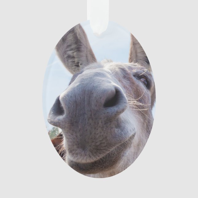 Comical Smiling Gray Donkey Ornament (Front)