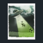 Comical UFO Cow Abduction Postcard<br><div class="desc">A comical illustration of a cow being abducted by a UFO</div>