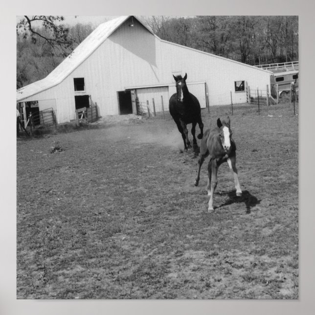 Coming at Ya Poster (Front)