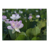 Coming in for a Landing (Front Horizontal)