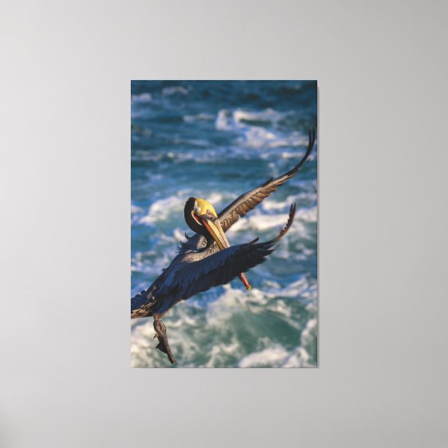 Coming in for a landing canvas print (Front)