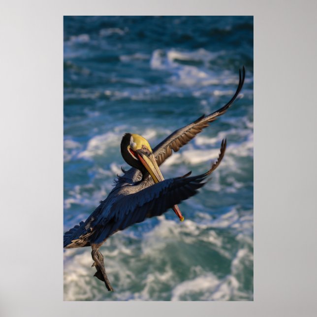 Coming in for a landing poster (Front)